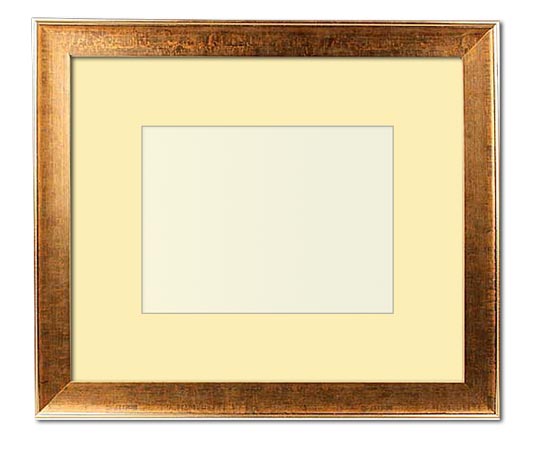 The Ansel - Regular Plexi - Looking for picture frames worthy of framing your newest Irving Penn photograph? Our contemporary-style picture frames from FrameStoreDirect draw elements from the modernism movement of the mid-20th century. Clean lines and sleek materials are the basis for these fresh, chic, and en vogue frames.