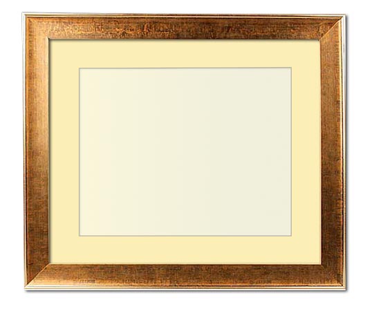 The Ansel - Museum Optium Plexi - Looking for picture frames worthy of framing your newest Irving Penn photograph? Our contemporary-style picture frames from FrameStoreDirect draw elements from the modernism movement of the mid-20th century. Clean lines and sleek materials are the basis for these fresh, chic, and en vogue frames.