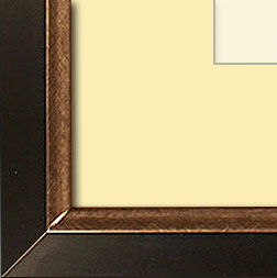 The Christenberry - Museum Optium Plexi - Looking for picture frames worthy of framing your newest Irving Penn photograph? Our contemporary-style picture frames from FrameStoreDirect draw elements from the modernism movement of the mid-20th century. Clean lines and sleek materials are the basis for these fresh, chic, and en vogue frames.