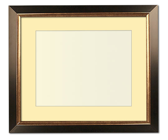 The Christenberry - Regular Plexi - Looking for picture frames worthy of framing your newest Irving Penn photograph? Our contemporary-style picture frames from FrameStoreDirect draw elements from the modernism movement of the mid-20th century. Clean lines and sleek materials are the basis for these fresh, chic, and en vogue frames.