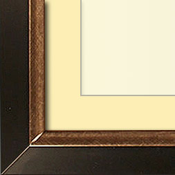 The Christenberry - Regular Plexi - Looking for picture frames worthy of framing your newest Irving Penn photograph? Our contemporary-style picture frames from FrameStoreDirect draw elements from the modernism movement of the mid-20th century. Clean lines and sleek materials are the basis for these fresh, chic, and en vogue frames.