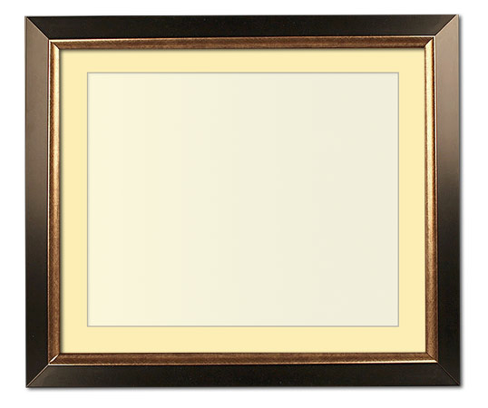 The Christenberry - Regular Plexi - Looking for picture frames worthy of framing your newest Irving Penn photograph? Our contemporary-style picture frames from FrameStoreDirect draw elements from the modernism movement of the mid-20th century. Clean lines and sleek materials are the basis for these fresh, chic, and en vogue frames.