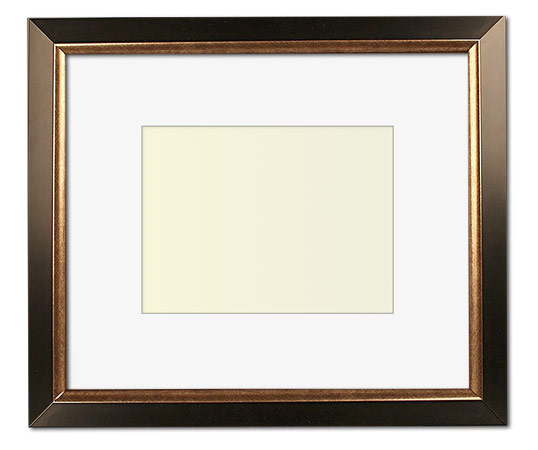 The Christenberry - UV Plexi - Looking for picture frames worthy of framing your newest Irving Penn photograph? Our contemporary-style picture frames from FrameStoreDirect draw elements from the modernism movement of the mid-20th century. Clean lines and sleek materials are the basis for these fresh, chic, and en vogue frames.