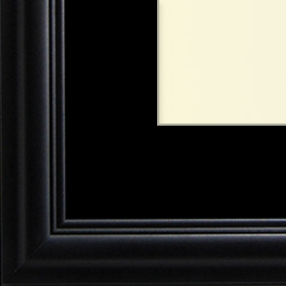 The Eggleston - UV Plexi - Looking for picture frames worthy of framing your newest Irving Penn photograph? Our contemporary-style picture frames from FrameStoreDirect draw elements from the modernism movement of the mid-20th century. Clean lines and sleek materials are the basis for these fresh, chic, and en vogue frames.