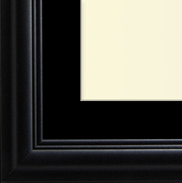 The Eggleston - Regular Plexi - Looking for picture frames worthy of framing your newest Irving Penn photograph? Our contemporary-style picture frames from FrameStoreDirect draw elements from the modernism movement of the mid-20th century. Clean lines and sleek materials are the basis for these fresh, chic, and en vogue frames.