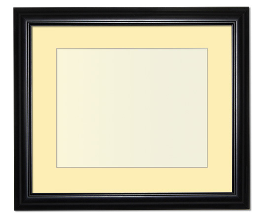 The Eggleston - Regular Plexi - Looking for picture frames worthy of framing your newest Irving Penn photograph? Our contemporary-style picture frames from FrameStoreDirect draw elements from the modernism movement of the mid-20th century. Clean lines and sleek materials are the basis for these fresh, chic, and en vogue frames.