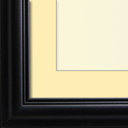 The Eggleston - Regular Plexi - Looking for picture frames worthy of framing your newest Irving Penn photograph? Our contemporary-style picture frames from FrameStoreDirect draw elements from the modernism movement of the mid-20th century. Clean lines and sleek materials are the basis for these fresh, chic, and en vogue frames.