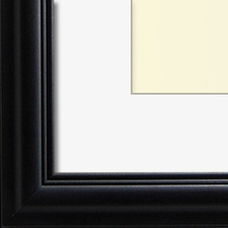 The Eggleston - Regular Plexi - Looking for picture frames worthy of framing your newest Irving Penn photograph? Our contemporary-style picture frames from FrameStoreDirect draw elements from the modernism movement of the mid-20th century. Clean lines and sleek materials are the basis for these fresh, chic, and en vogue frames.