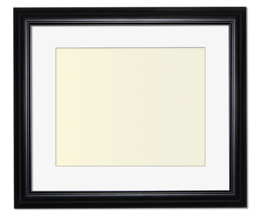 The Eggleston - Regular Plexi - Looking for picture frames worthy of framing your newest Irving Penn photograph? Our contemporary-style picture frames from FrameStoreDirect draw elements from the modernism movement of the mid-20th century. Clean lines and sleek materials are the basis for these fresh, chic, and en vogue frames.