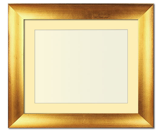 The Jackson - Museum Optium Plexi - Looking for picture frames worthy of framing your newest Irving Penn photograph? Our contemporary-style picture frames from FrameStoreDirect draw elements from the modernism movement of the mid-20th century. Clean lines and sleek materials are the basis for these fresh, chic, and en vogue frames.