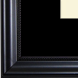 The Michelangelo - Regular Plexi - The traditional-style picture framing from FrameStore Direct takes inspiration from the 18th and 19th centuries. The rich woods and fabrics used in our picture frames evoke feelings of class, calm, and comfort perfectly enhancing your formal dining room, living room or den.