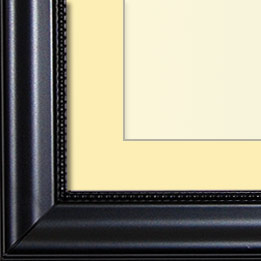 The Michelangelo - Museum Optium Plexi - The traditional-style picture framing from FrameStore Direct takes inspiration from the 18th and 19th centuries. The rich woods and fabrics used in our picture frames evoke feelings of class, calm, and comfort perfectly enhancing your formal dining room, living room or den.