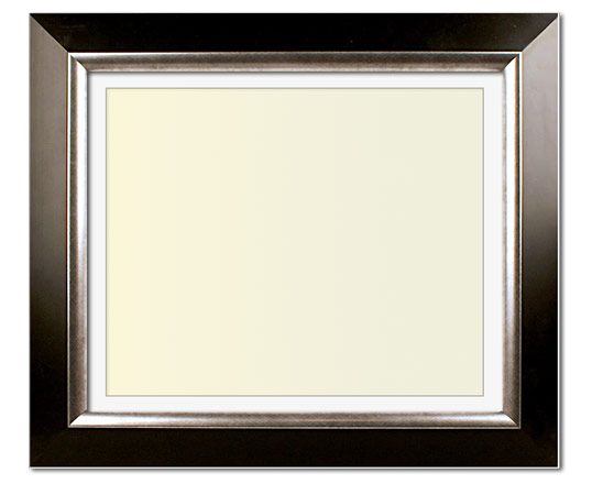 The Penn - UV Plexi - Looking for picture frames worthy of framing your newest Irving Penn photograph? Our contemporary-style picture frames from FrameStoreDirect draw elements from the modernism movement of the mid-20th century. Clean lines and sleek materials are the basis for these fresh, chic, and en vogue frames.