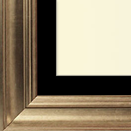 The Pollack - Museum Optium Plexi - Transitional style is a marriage of traditional and modern finishes, materials and fabrics. The result is an elegant, enduring design that is both comfortable and classic. Through its simple lines, neutral color scheme, and use of light and warmth, transitional style joins the best of both the traditional and modern worlds.