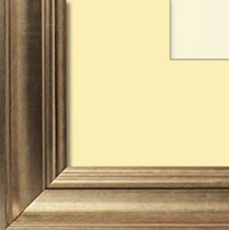 The Pollack - Regular Plexi - Transitional style is a marriage of traditional and modern finishes, materials and fabrics. The result is an elegant, enduring design that is both comfortable and classic. Through its simple lines, neutral color scheme, and use of light and warmth, transitional style joins the best of both the traditional and modern worlds.