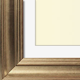 The Pollack - Museum Optium Plexi - Transitional style is a marriage of traditional and modern finishes, materials and fabrics. The result is an elegant, enduring design that is both comfortable and classic. Through its simple lines, neutral color scheme, and use of light and warmth, transitional style joins the best of both the traditional and modern worlds.