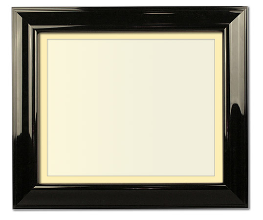 The Salgado - Museum Optium Plexi - Looking for picture frames worthy of framing your newest Irving Penn photograph? Our contemporary-style picture frames from FrameStoreDirect draw elements from the modernism movement of the mid-20th century. Clean lines and sleek materials are the basis for these fresh, chic, and en vogue frames.