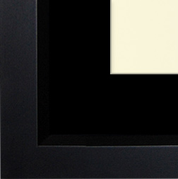 The Winogrand - UV Plexi - Looking for picture frames worthy of framing your newest Irving Penn photograph? Our contemporary-style picture frames from FrameStoreDirect draw elements from the modernism movement of the mid-20th century. Clean lines and sleek materials are the basis for these fresh, chic, and en vogue frames.